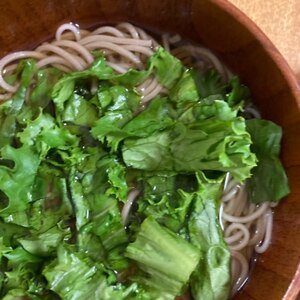 小松菜の蕎麦うどん⁈